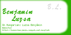 benjamin luzsa business card